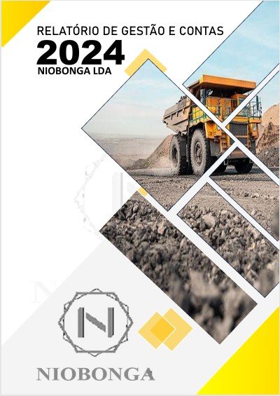 Relatório de Gestão e Contas Niobonga LDA 2024